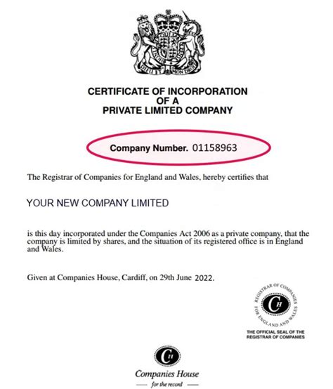 What Is a Business Registration Number in the .